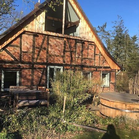 Wunderschoenes Bauernhaus An Der Elbe 布莱克德 外观 照片